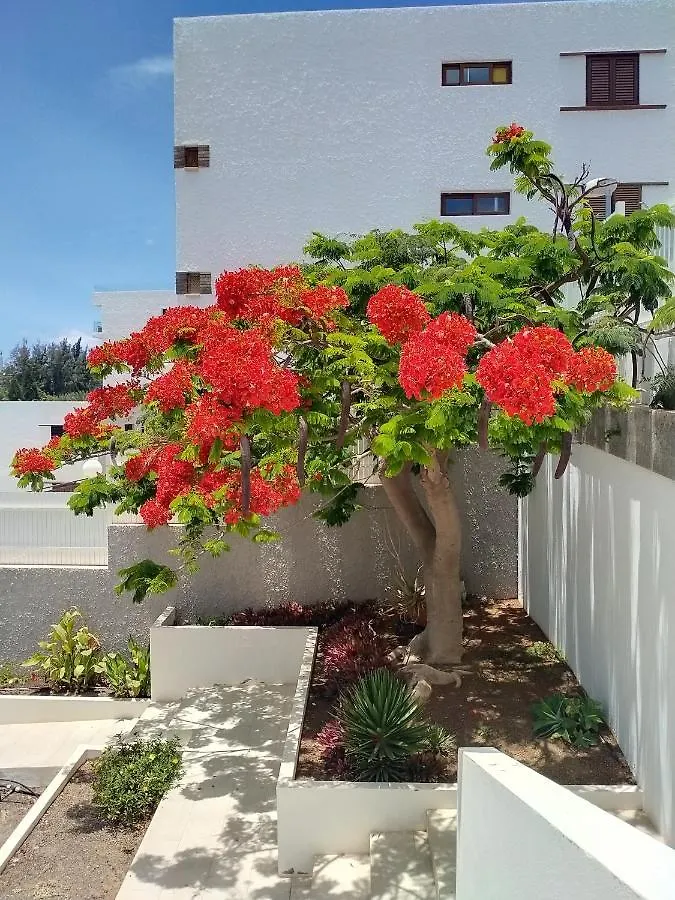 Bambu Apartment San Agustin   San Agustin (Gran Canaria)