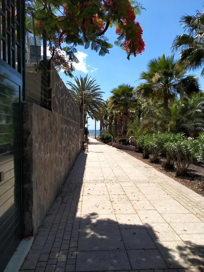 Bambu Apartment San Agustin  Spain